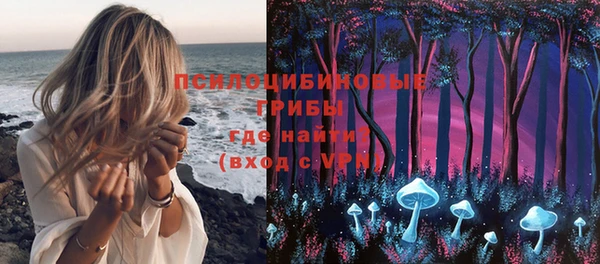круглые Абаза