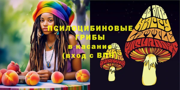 круглые Абаза